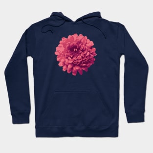 Red Violet Mums (Chrysanthemums) Flower Abstract Nature Art Hoodie